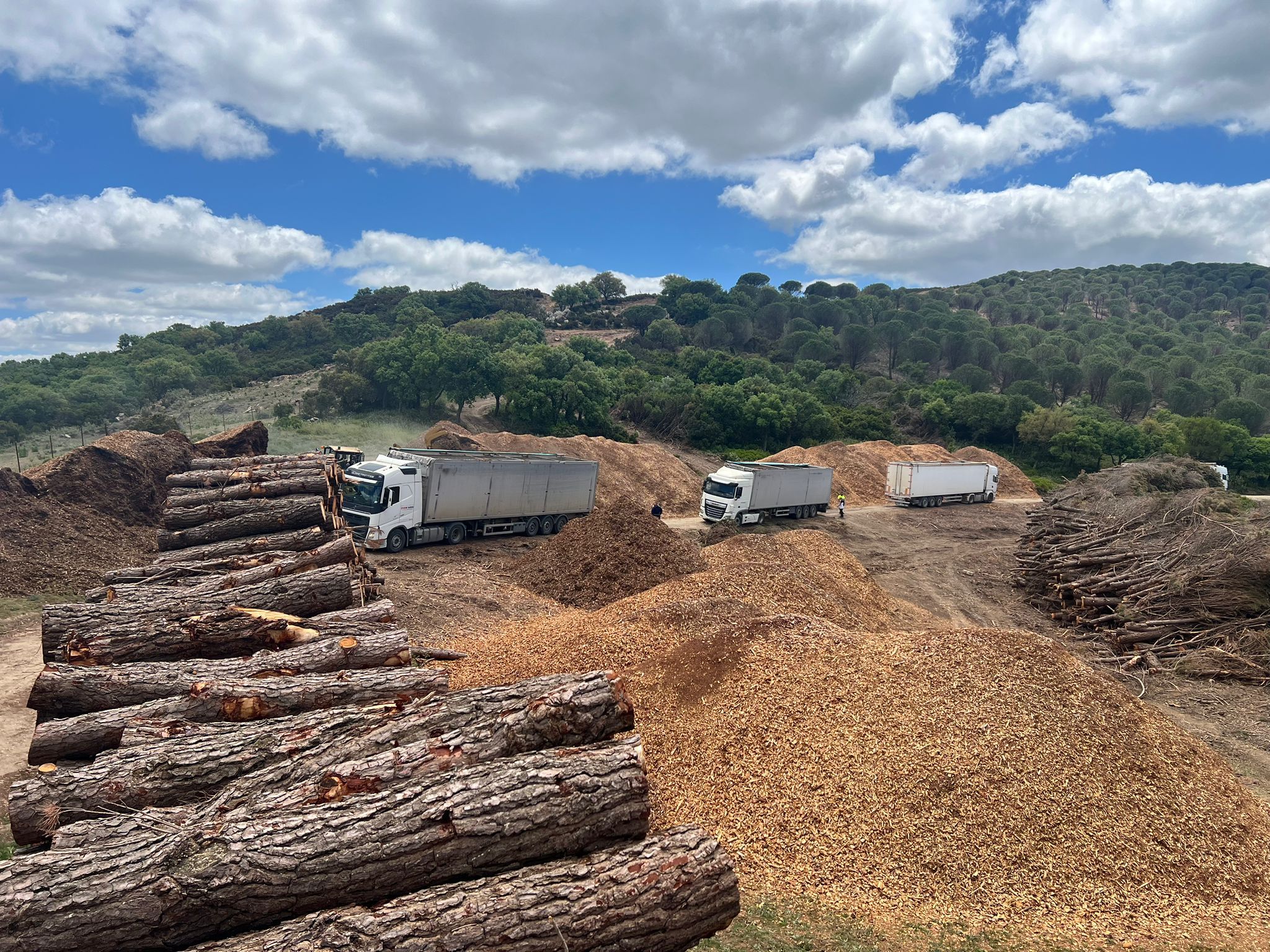 PILAS DE MADERA Y BIOMASA